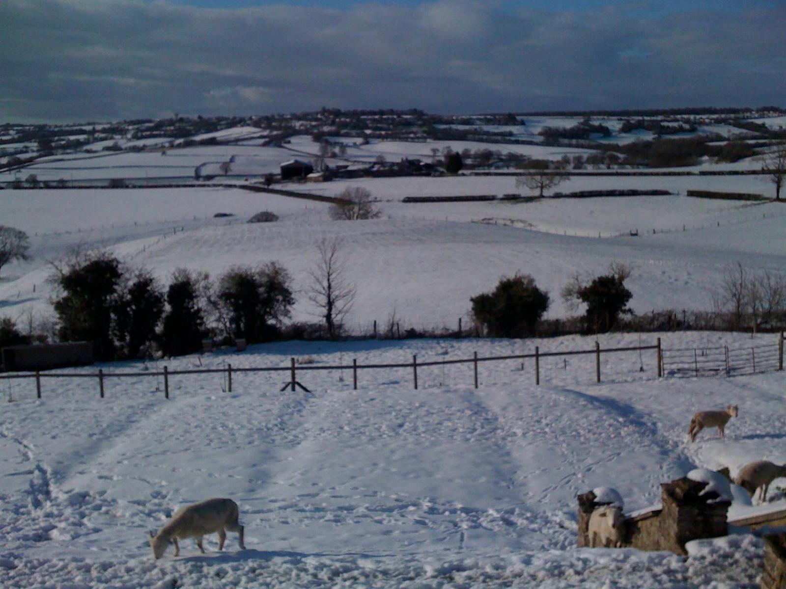 T'S At Lower Rudloe Farm Pensionat Corsham Exteriör bild