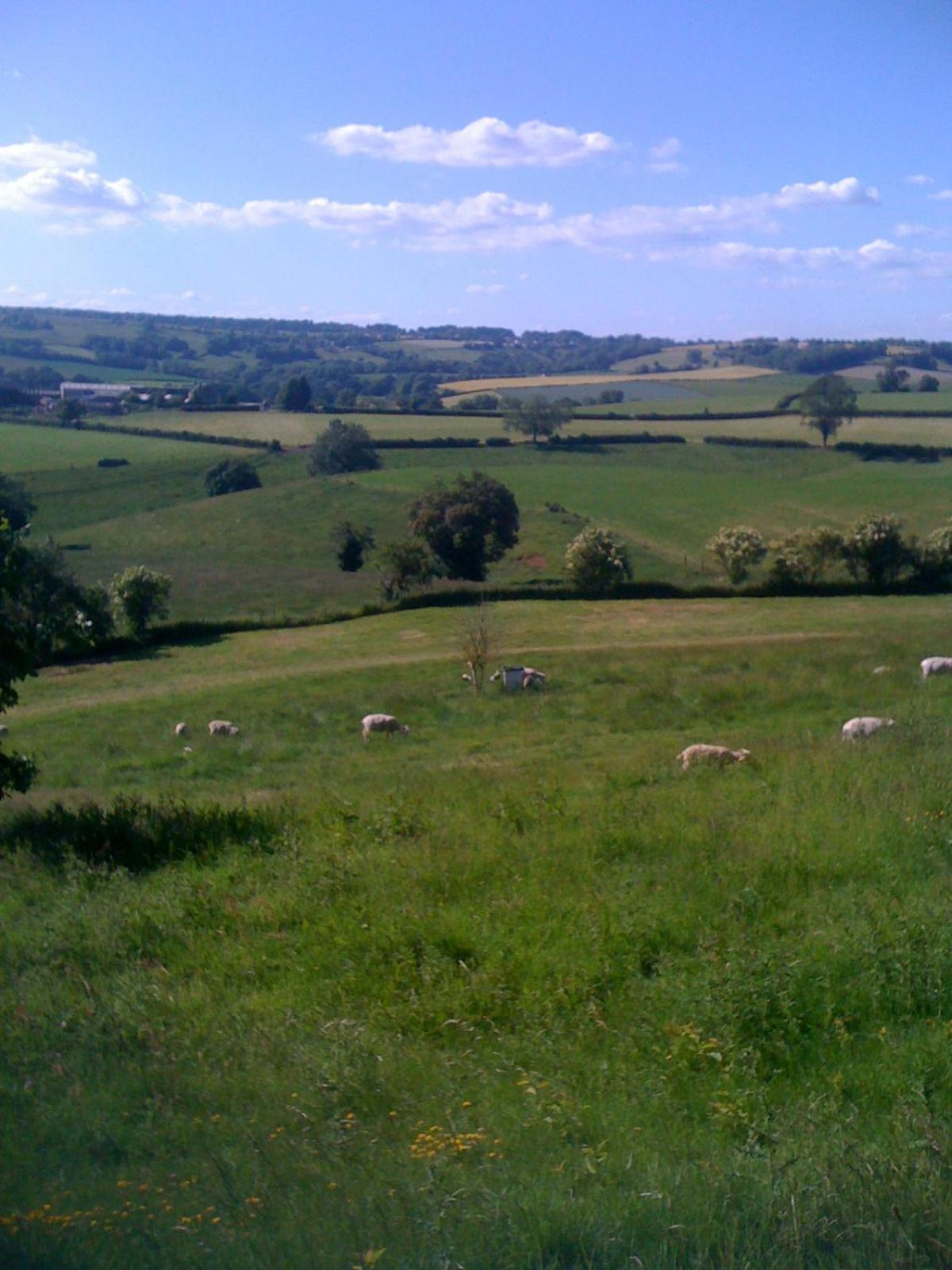 T'S At Lower Rudloe Farm Pensionat Corsham Exteriör bild
